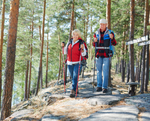 Senior tourists go trekking in the forest