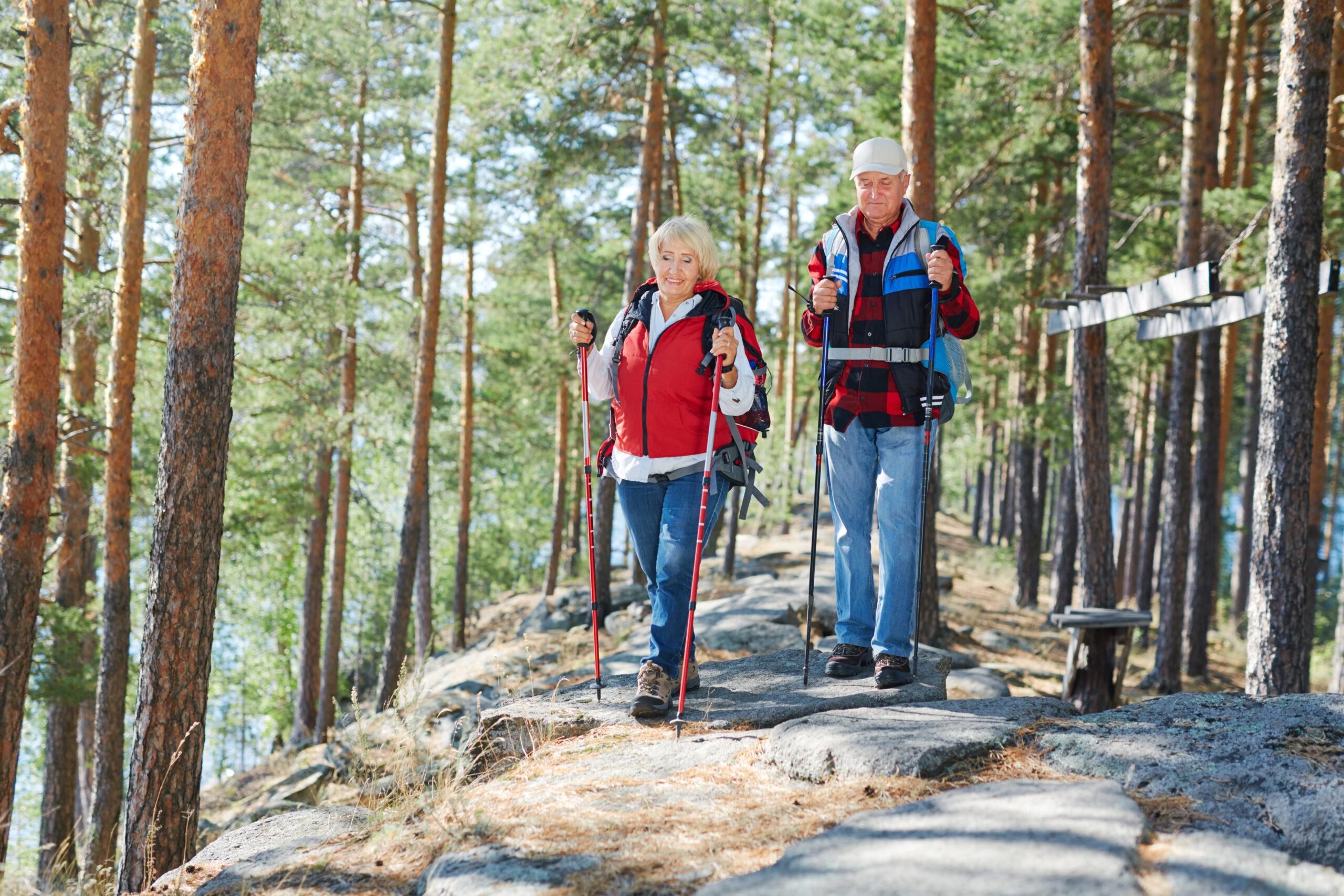 Senior tourists go trekking in the forest